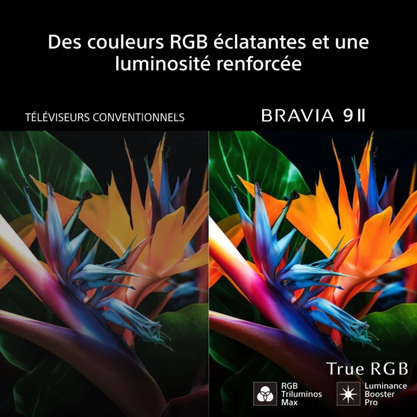 85' BRAVIA 9 II – Image 3